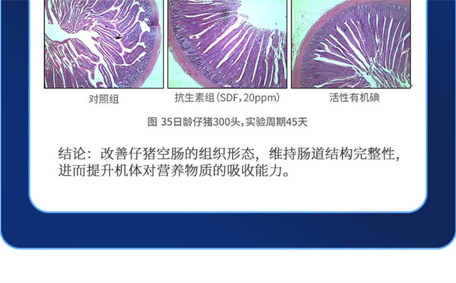 ���ӹ�����ҳ�������������Ӽ�����120��Ʒ����