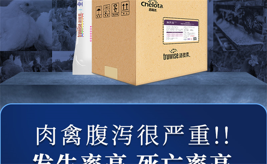 ���ӹ�����ҳ�������������Ӽ����ﱦ��Ʒ����