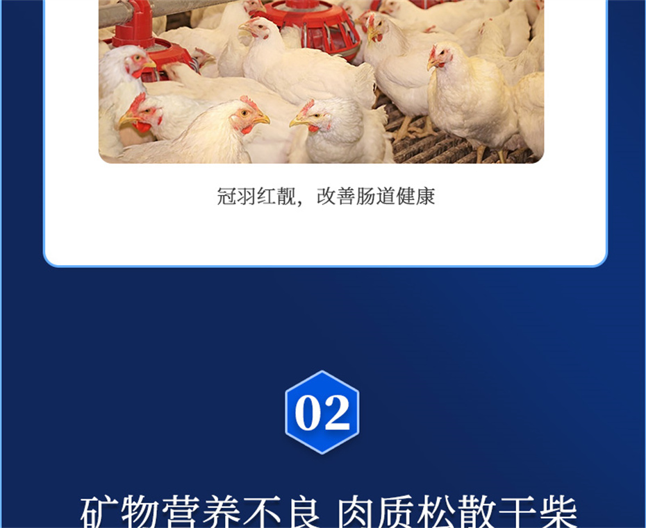 ���ӹ�����ҳ�������������Ӽ����ﱦ��Ʒ����