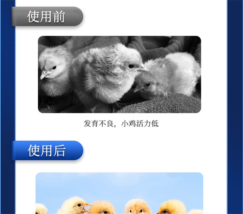 ���ӹ�����ҳ�������������Ӽ���������Ʒ����