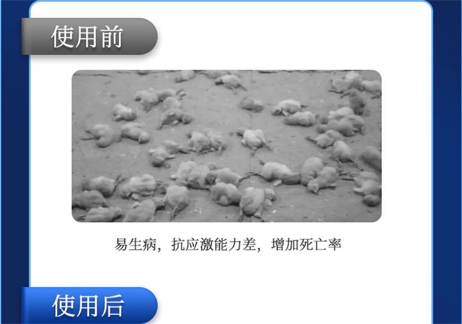 ���ӹ�����ҳ�������������Ӽ���������Ʒ����