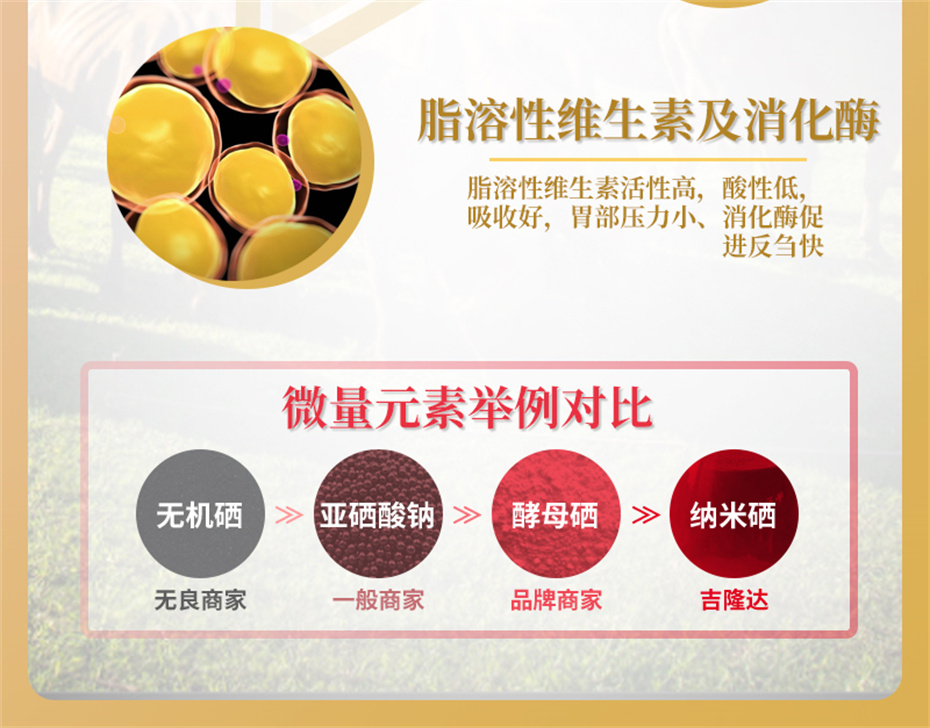 ���ӹ�����ҳ����ţ���������Ӽ�ţ��׳������Ʒ����