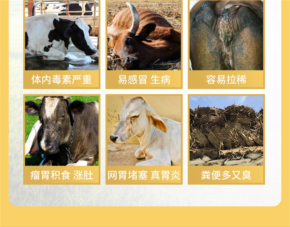 ���ӹ�����ҳ����ţ���������Ӽ�ţ��׳������Ʒ����