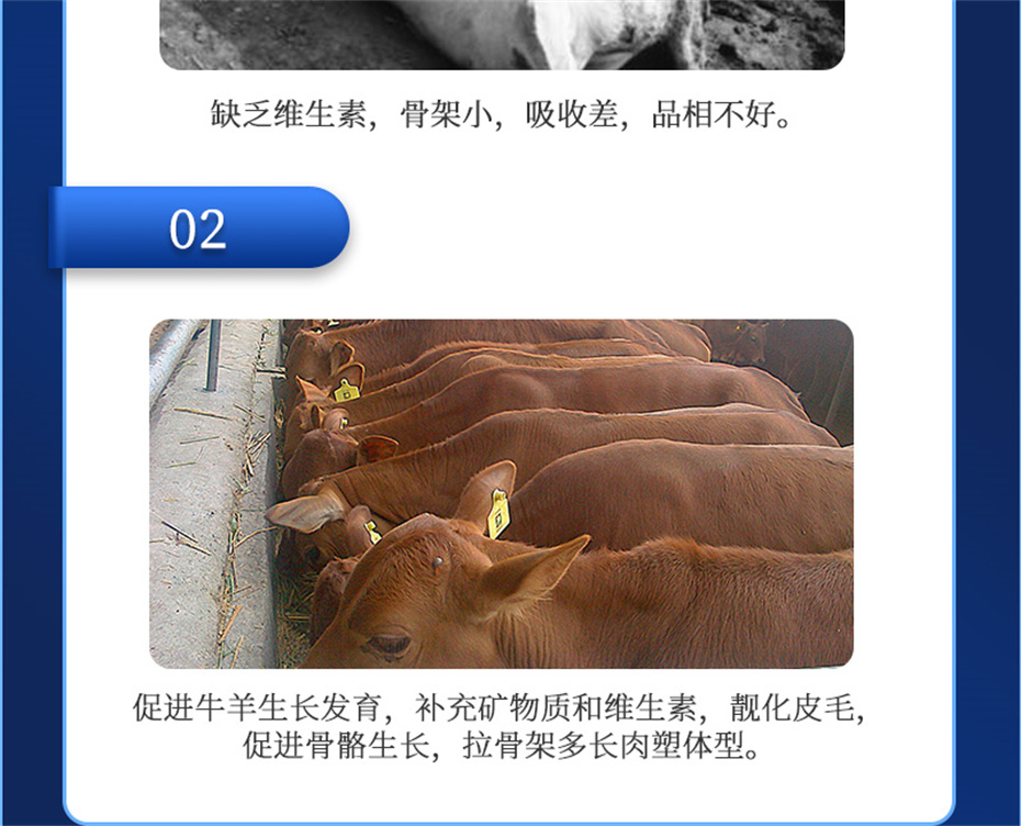 ���ӹ�����ҳ����ţ���������Ӽ�ţ��Ԫ˧��Ʒ����