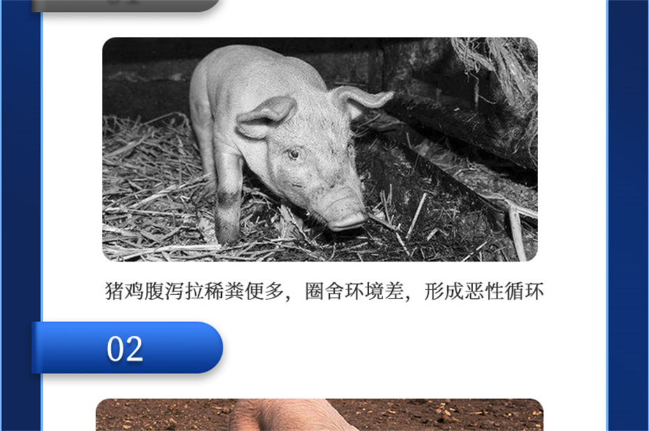 ���ӹ�����ҳ�������������Ӽ��������Ʒ����