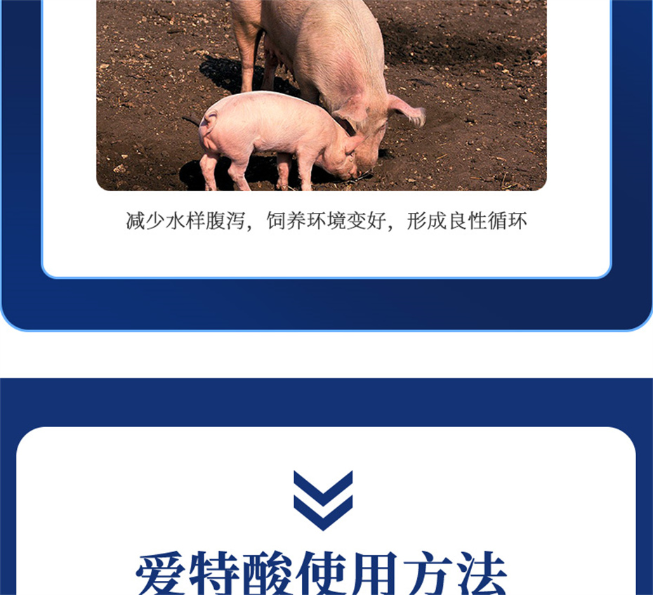 ���ӹ�����ҳ�������������Ӽ��������Ʒ����