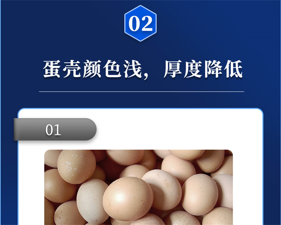 ���ӹ�����ҳ�������������Ӽ�ǿ�Ǳ���Ʒ����