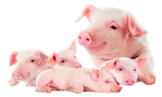 ����ע����Щ����