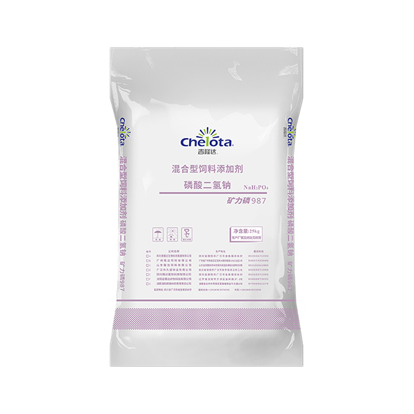 ���������-���ӹ�����ҳ