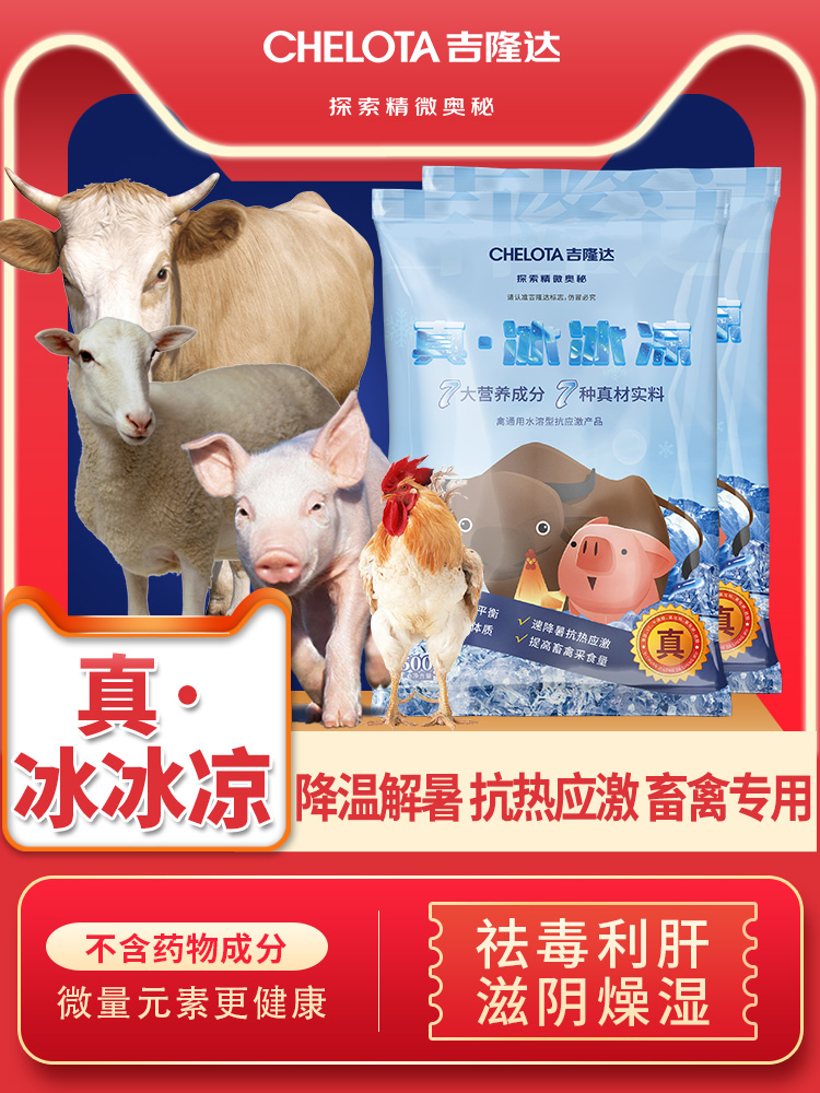 ���ӹ�����ҳ�桤������