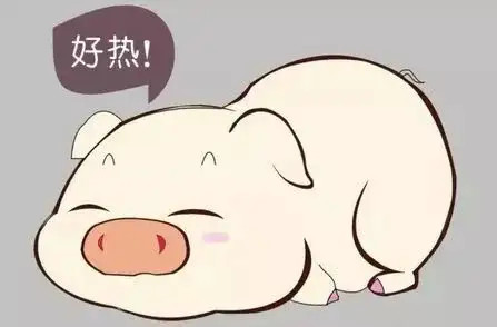 Ԥ������Ӧ��