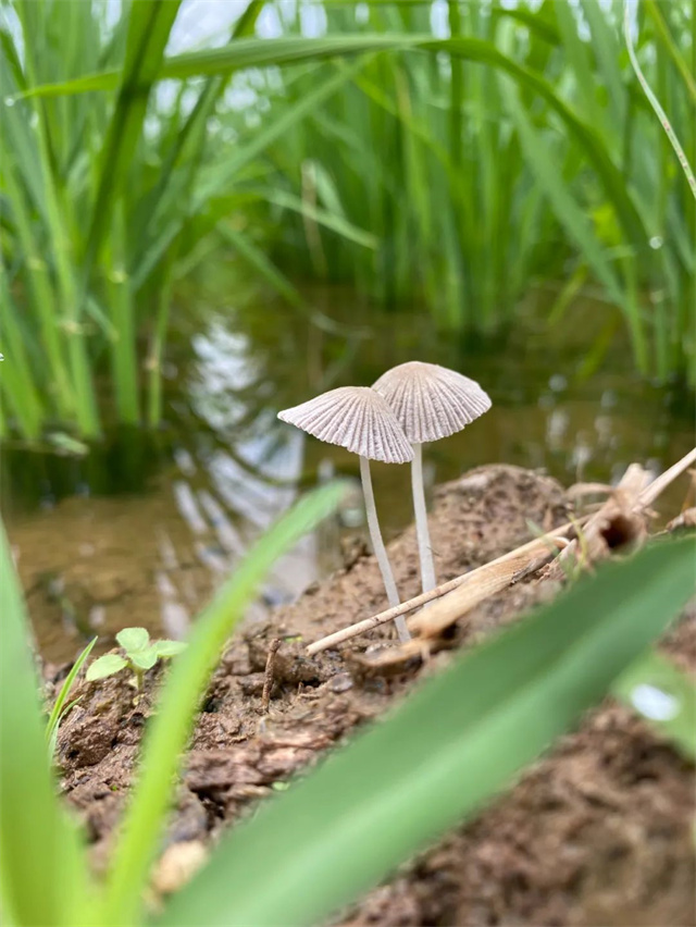 ���ӹ�����ҳ��Ӱ������Ʒ�����¡�