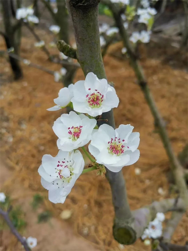 ���ӹ�����ҳ��Ӱ������Ʒ���Ķ�˲�䡷