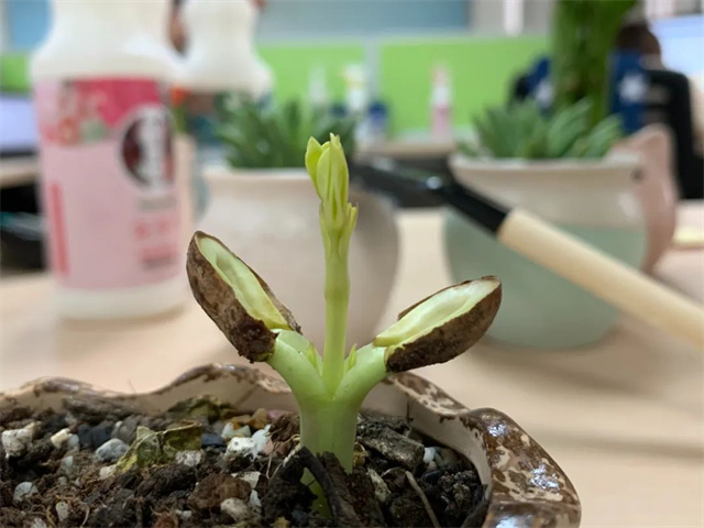 ���ӹ�����ҳ��Ӱ������Ʒ����΢��