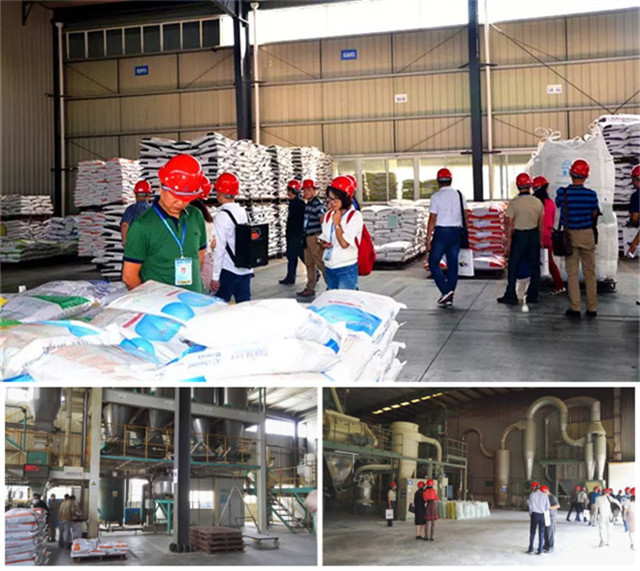 ���������ڲι����ӹ�����ҳ�ⷿ��������