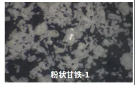 1742541066432 1742541066432