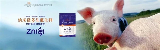 ���ӹ�����ҳ�������п