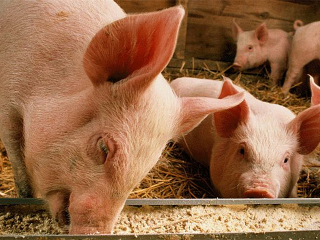 ���ӹ�����ҳ���š�����к+�������������ε�������