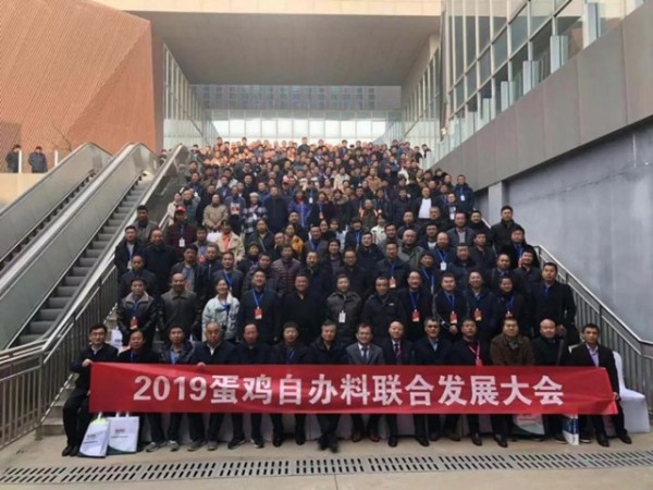 �ӱ������԰������Ϸ�չ���