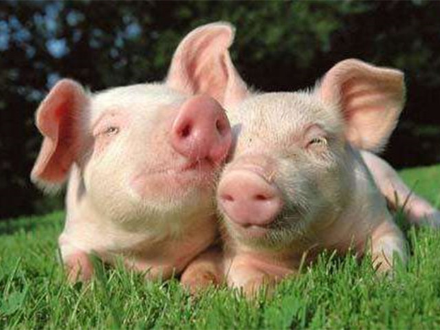 Ϊʲô����Ҫ���������Ӽ�