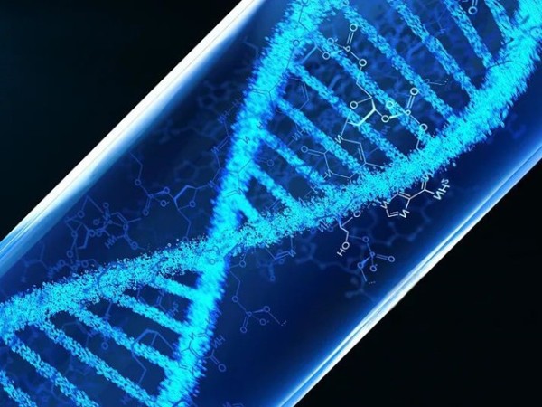 �������Ӽ�