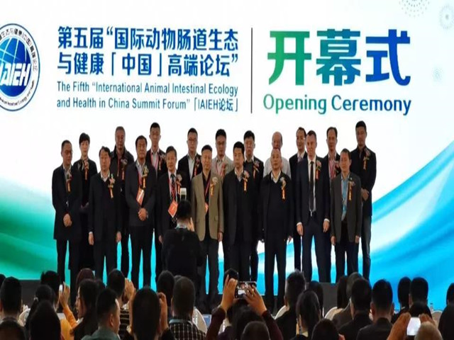 ������̳ح��Լ������������ҵս��ת��