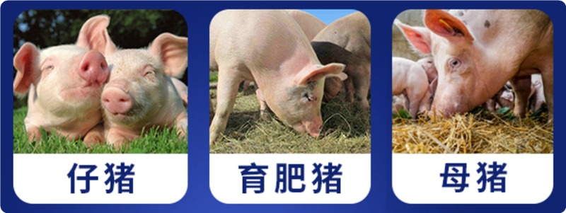 �����߷����ӹ�����ҳ������