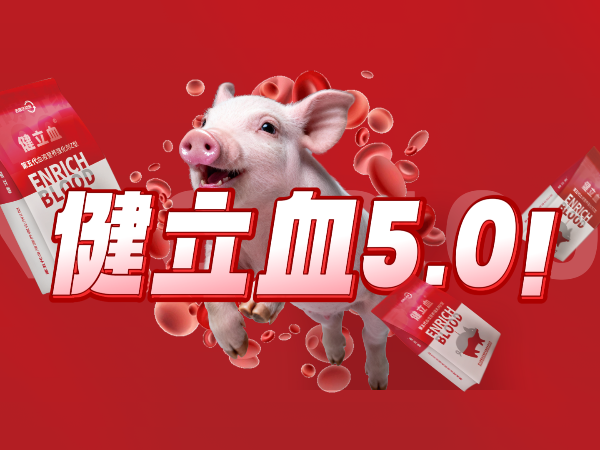 ���ӹ�����ҳ������������ͽ���Ѫ�ذ��ǳ���