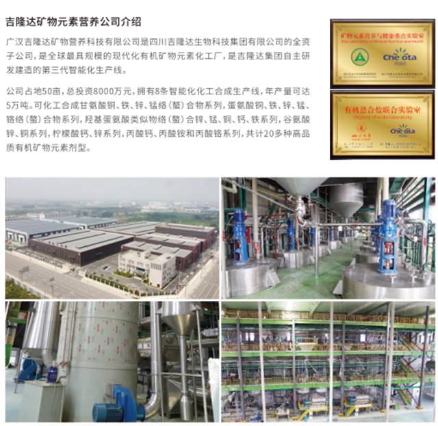 ���ӹ�����ҳ��̬