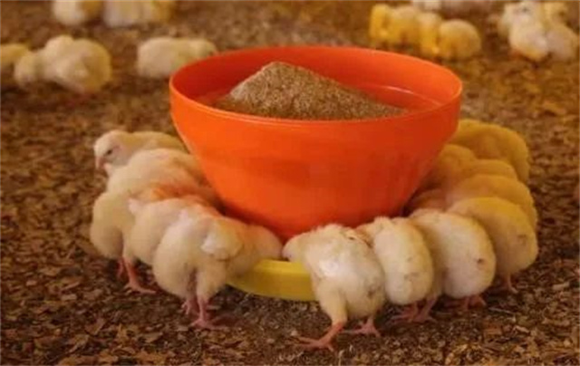 ������Ӧ��������