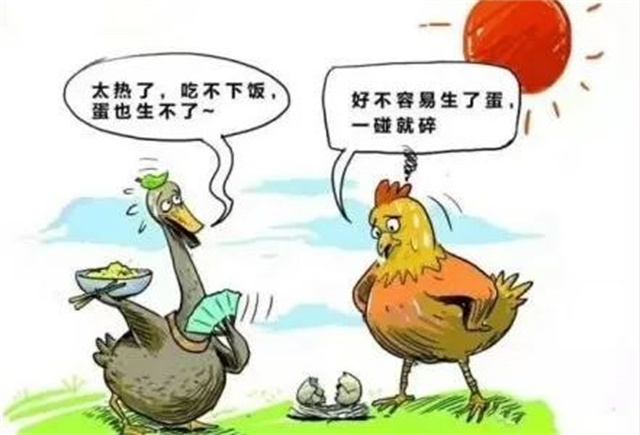 ������Ӧ��������