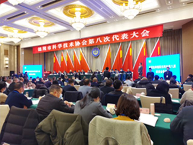 ������Э�������