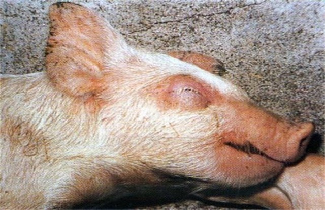 ����ˮ�ײ���ô��