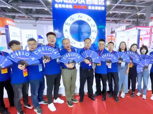 ���ӹ�����ҳ�����ϲ��󲩻��ֳ�