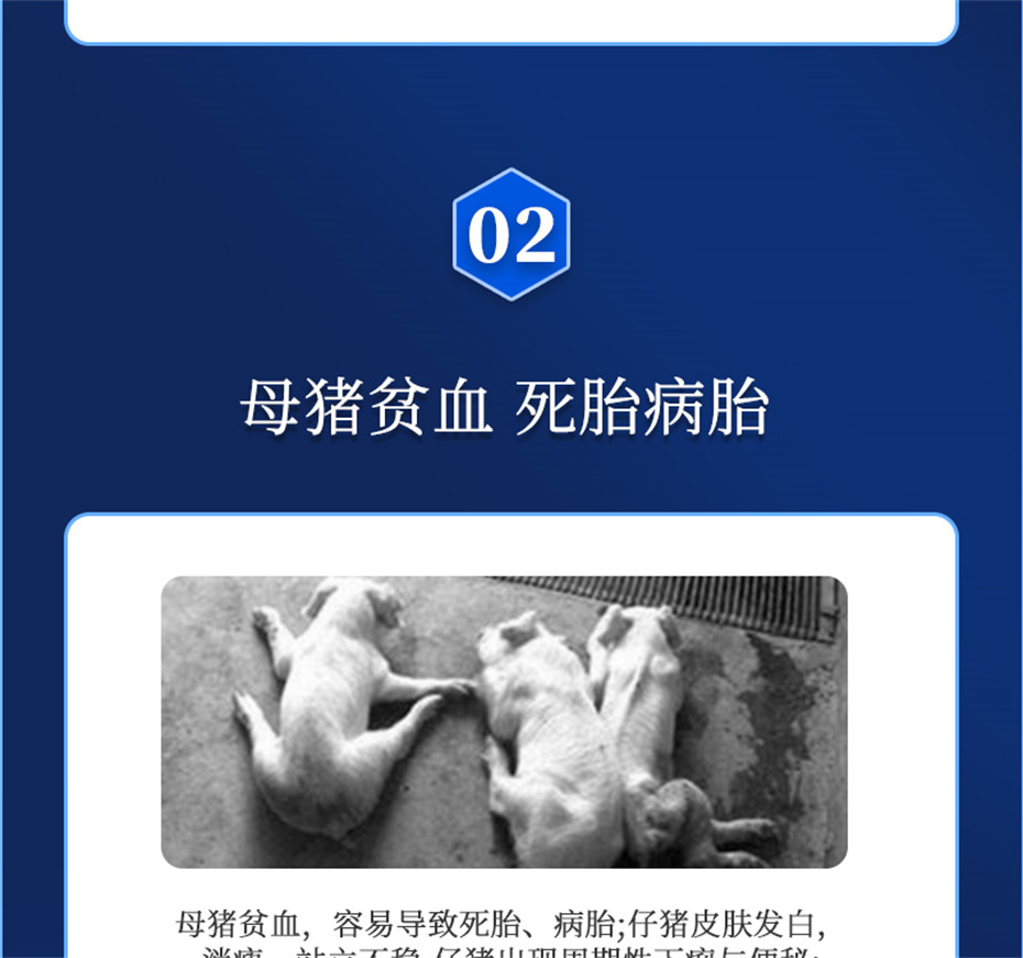 ���ӹ�����ҳ�������������Ӽ�����Ѫ��Ʒ����