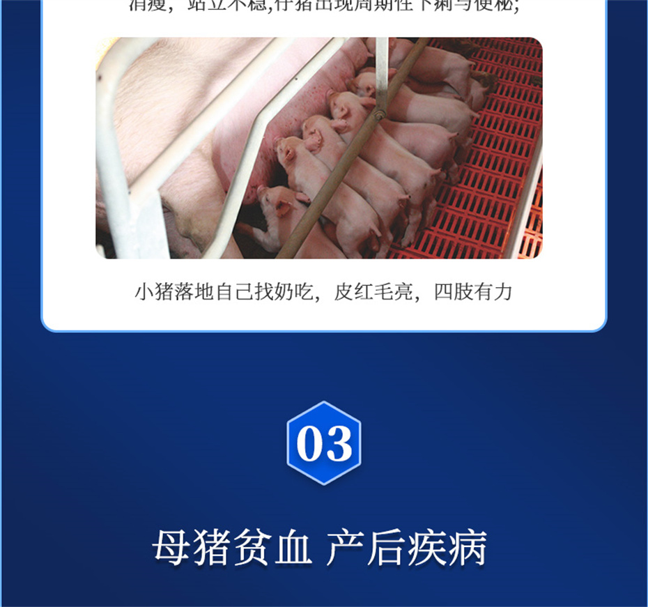 ���ӹ�����ҳ�������������Ӽ�����Ѫ��Ʒ����