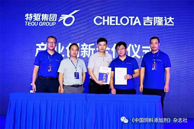 ���ӹ�����ҳ�о�Ժ������ʽ