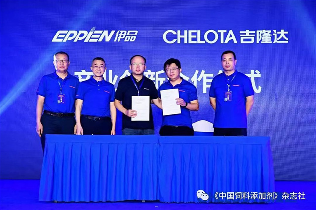 ���ӹ�����ҳ�о�Ժ������ʽ