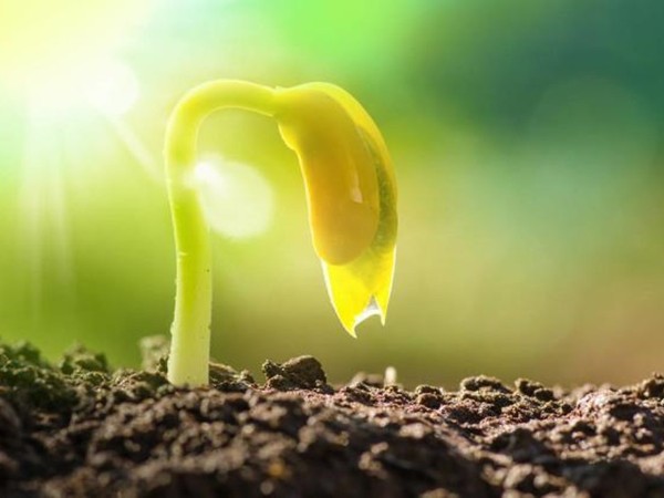 �������ӹ�����ҳ��ҵ��������ˮ������