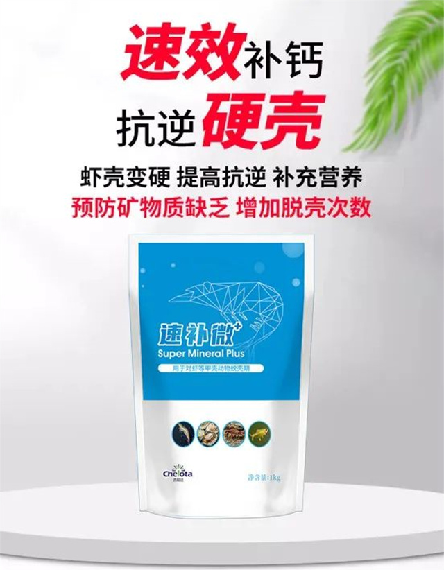 ���ӹ�����ҳ�������Ӽ��ٲ�΢+