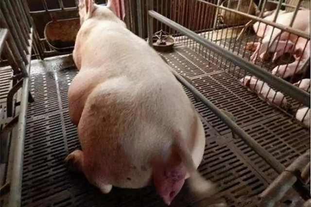 ĸ�����̹���������