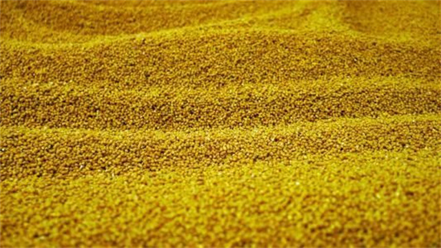 �������Ӽ�