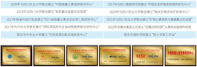 ���ӹ�����ҳ�ļ���ʵ��