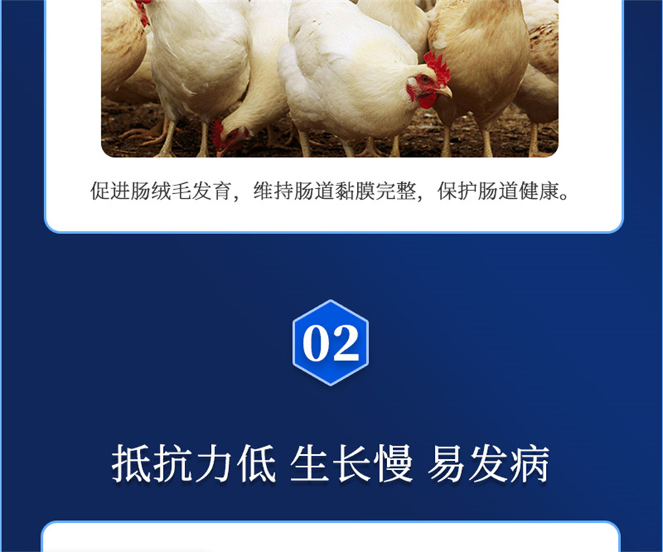 ���ӹ�����ҳ�����������Ӽ�����Ԫ��Ʒ����