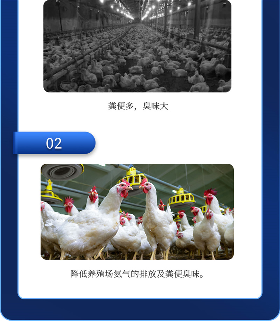 ���ӹ�����ҳ�����������Ӽ�����Ԫ��Ʒ����