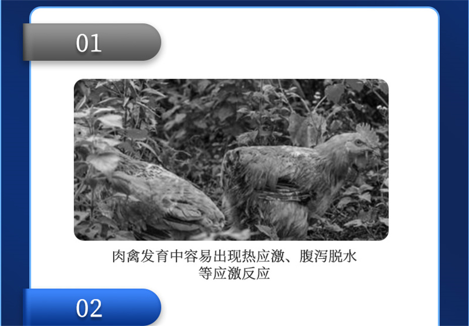 ���ӹ�����ҳ�������������Ӽ������ز�Ʒ����