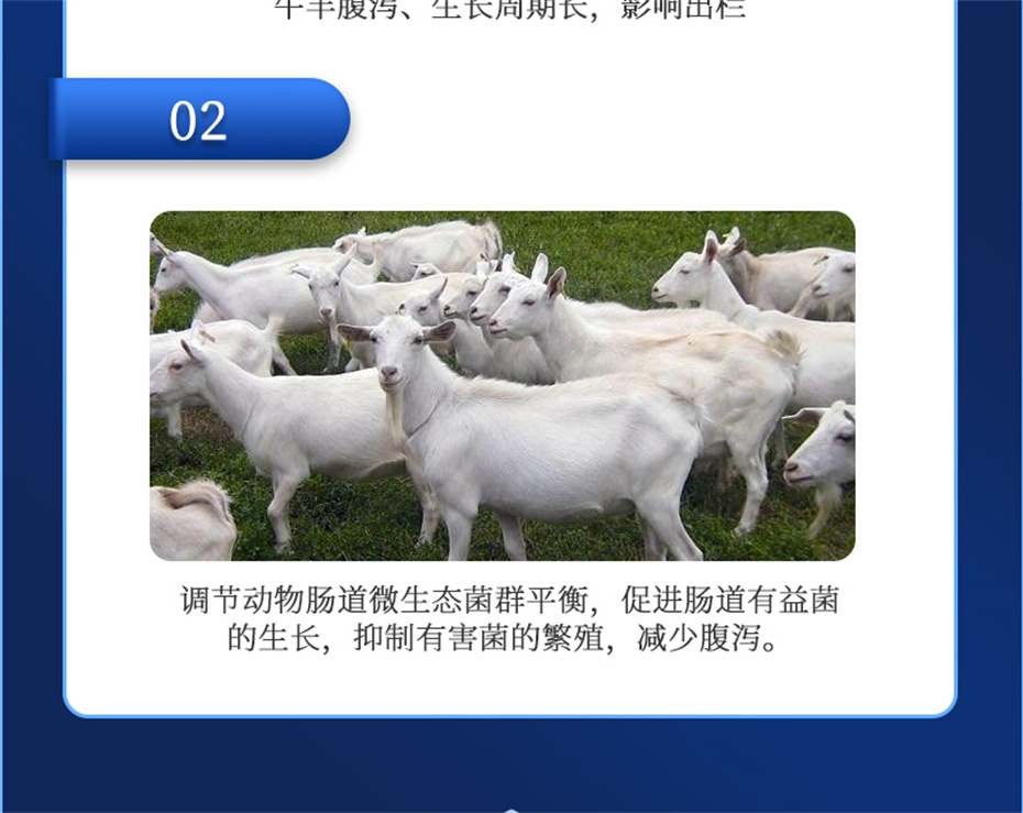 ���ӹ�����ҳ����ţ���������Ӽ�θ��plus��Ʒ����