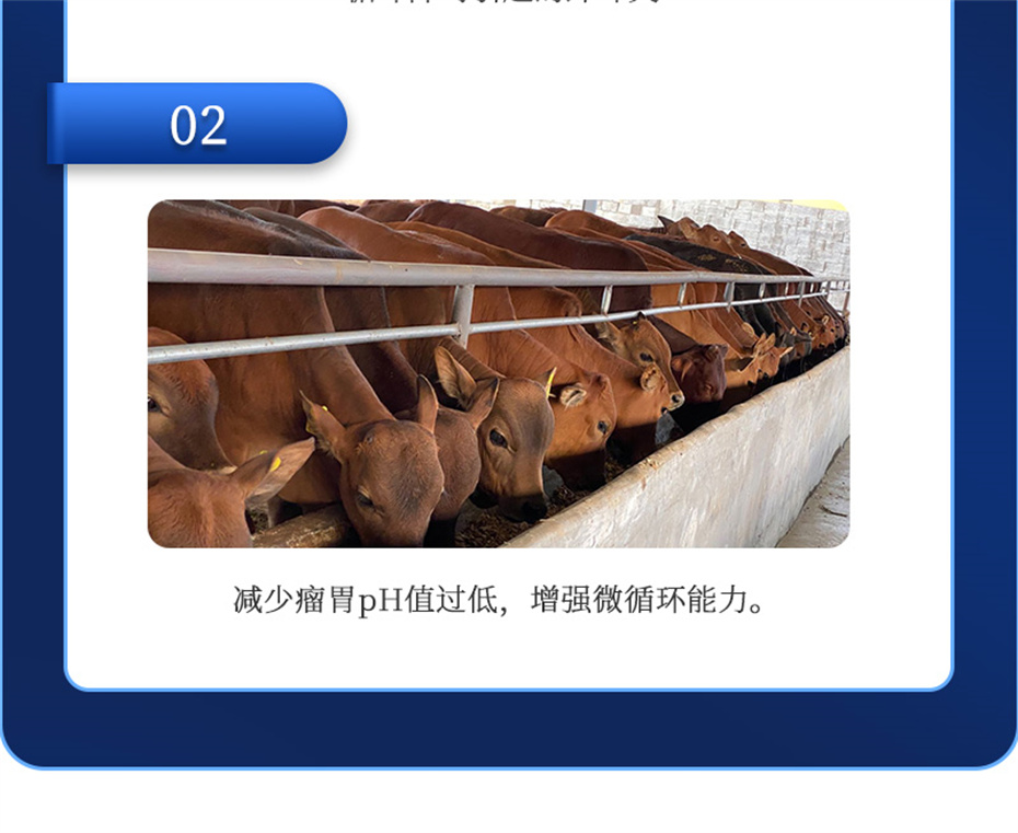 ���ӹ�����ҳ����ţ���������Ӽ�θ��plus��Ʒ����