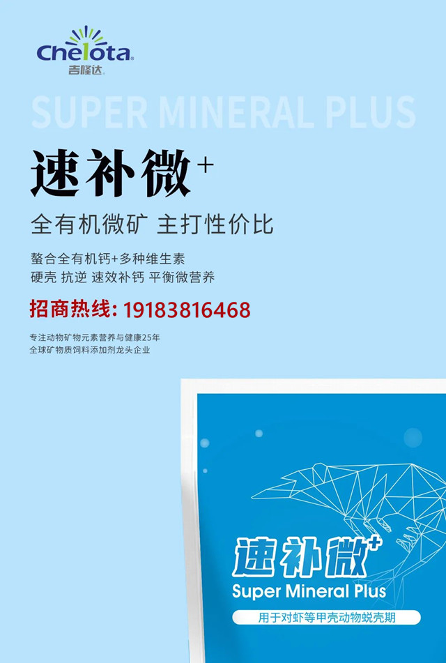 ���ӹ�����ҳˮ����������