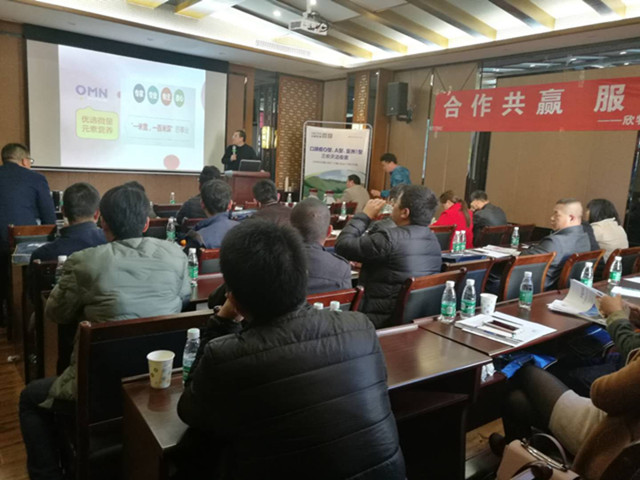 ��������ҩ���羭������������ӹ�����ҳ����Ѫ�������������Ӽ������̣�